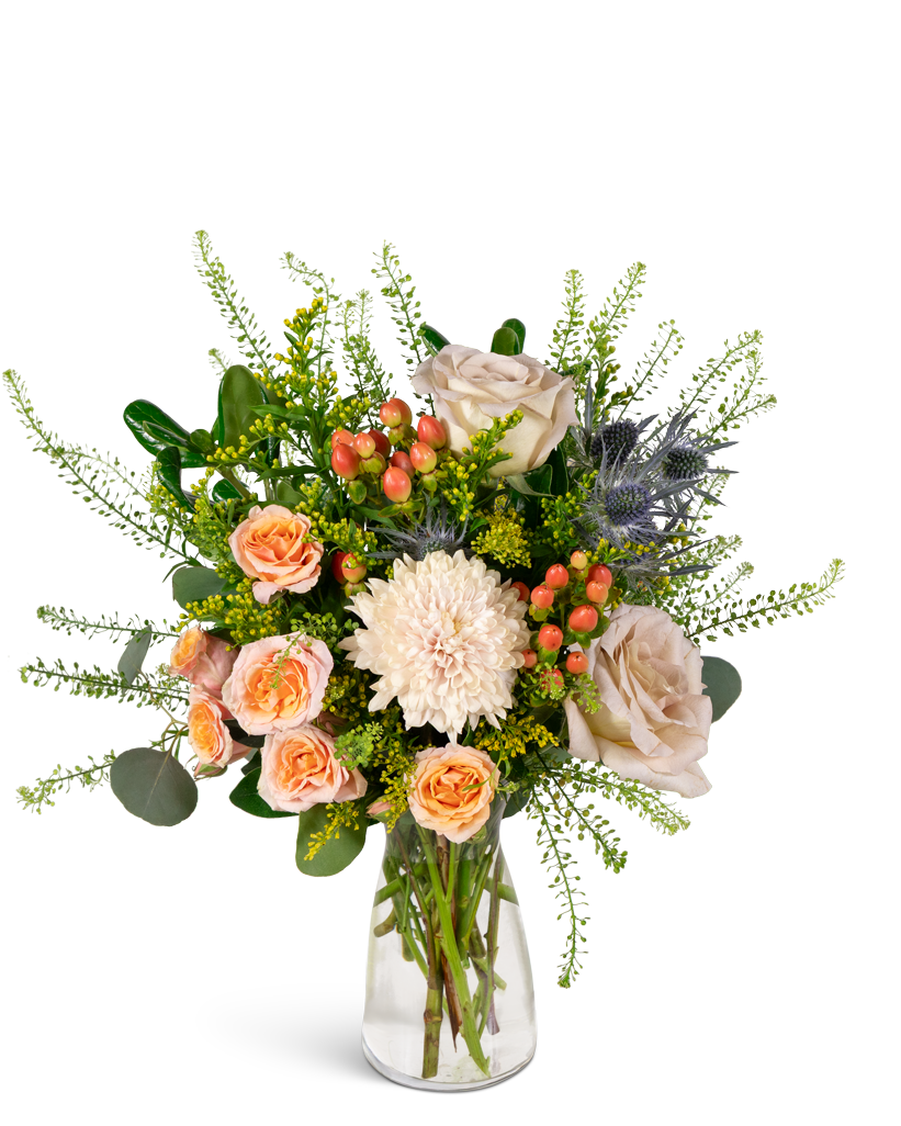 Wild Briar