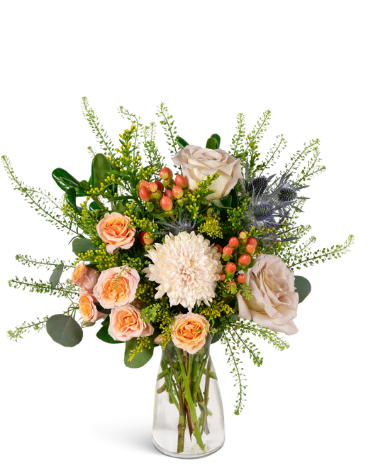 Wild Briar