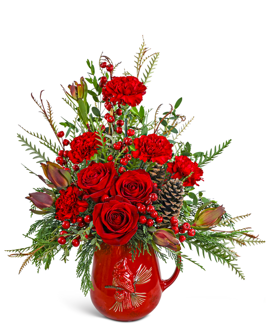 Scarlet Cardinal Pitcher