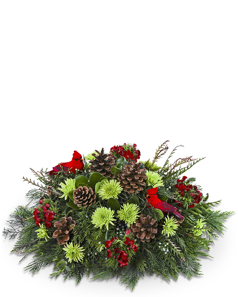 Where Cardinals Gather Centerpiece