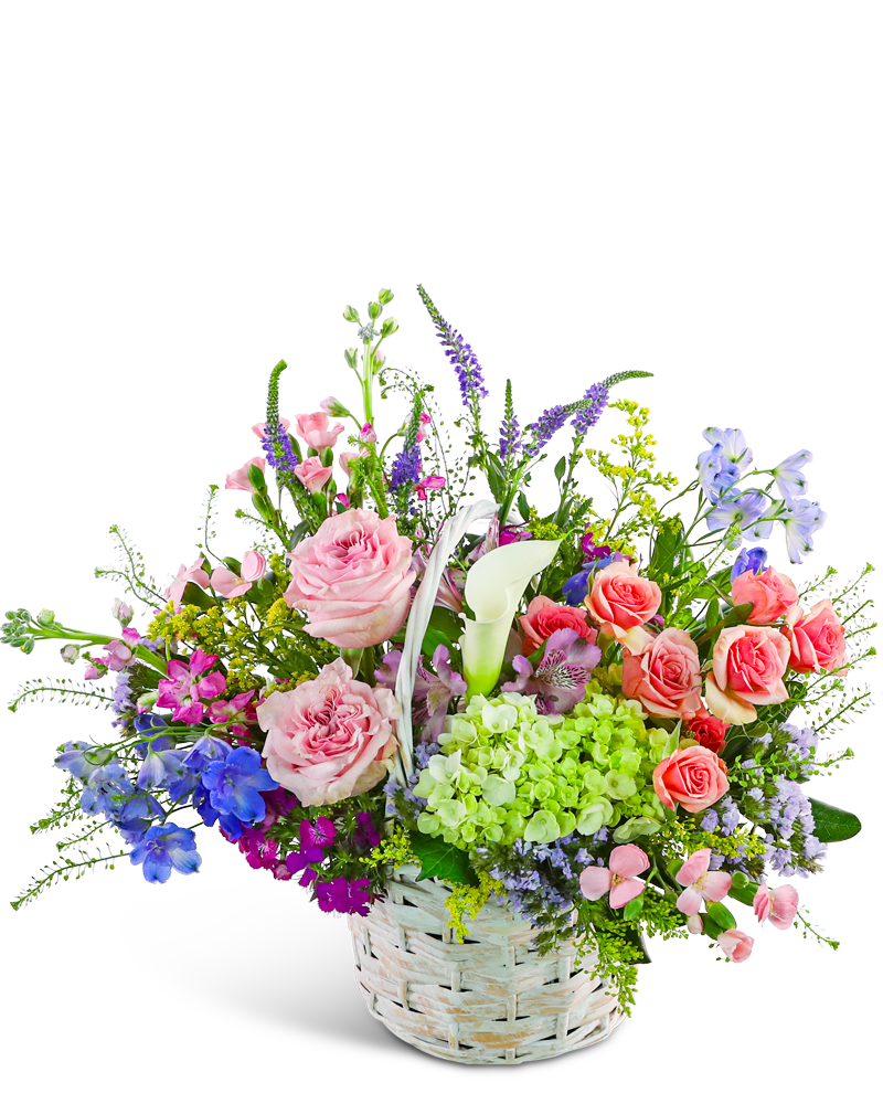 Petal Rhapsody