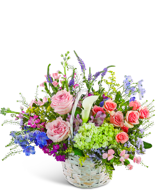Petal Rhapsody