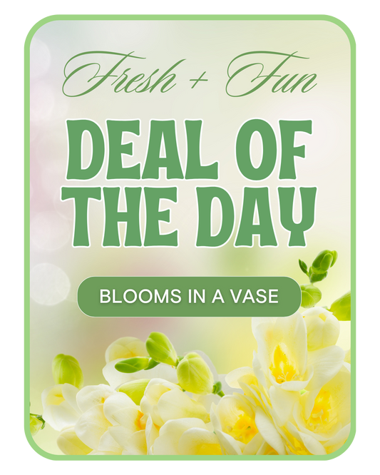 Florist's Deal of the Day