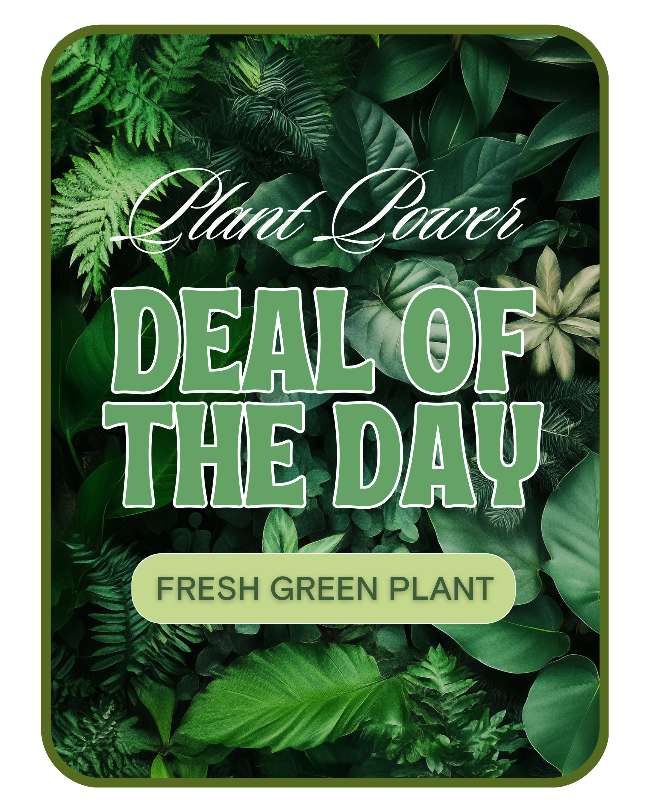 Green Plant Deal of the Day