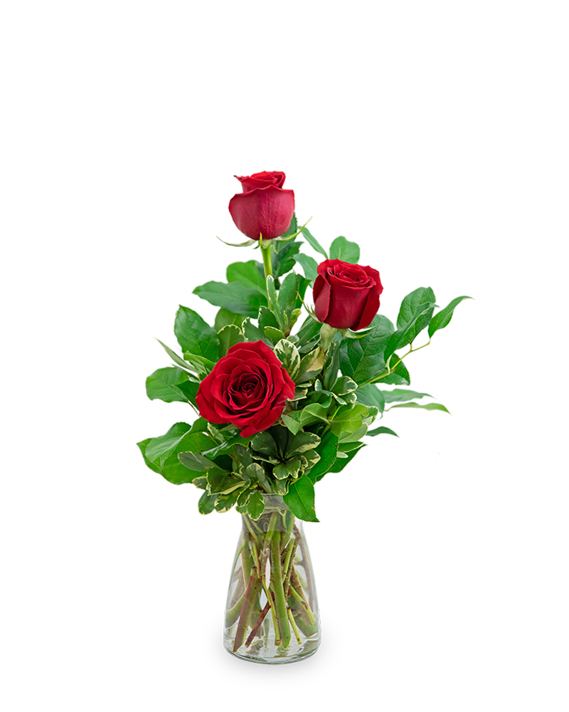 Rose Trio