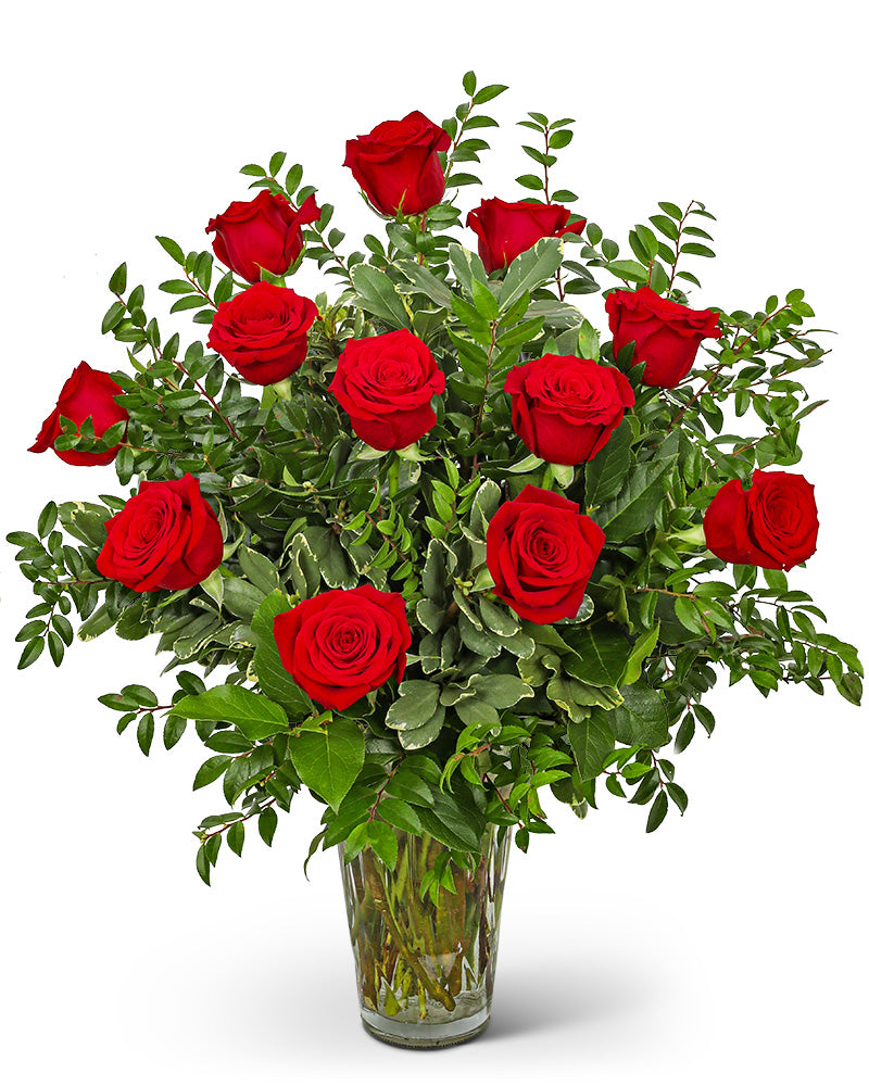 One Dozen Elegant Red Roses