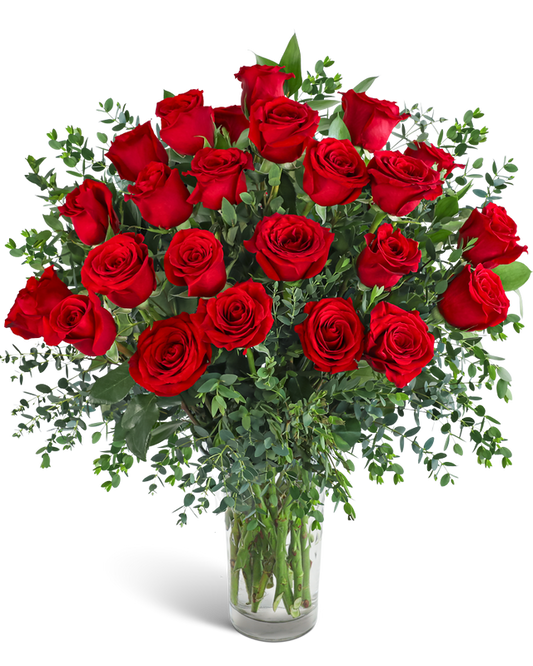 Two Dozen Red Hot Roses