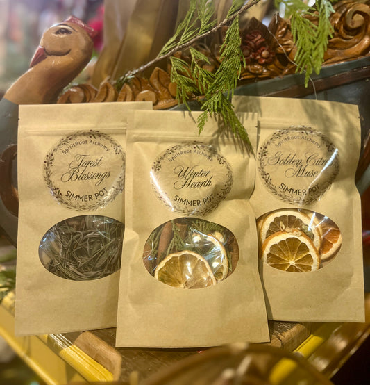 Winter Botanical Simmer Pot