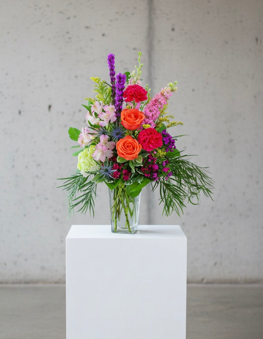 Take Me to St. Tropez