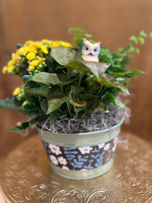 Owl Planter