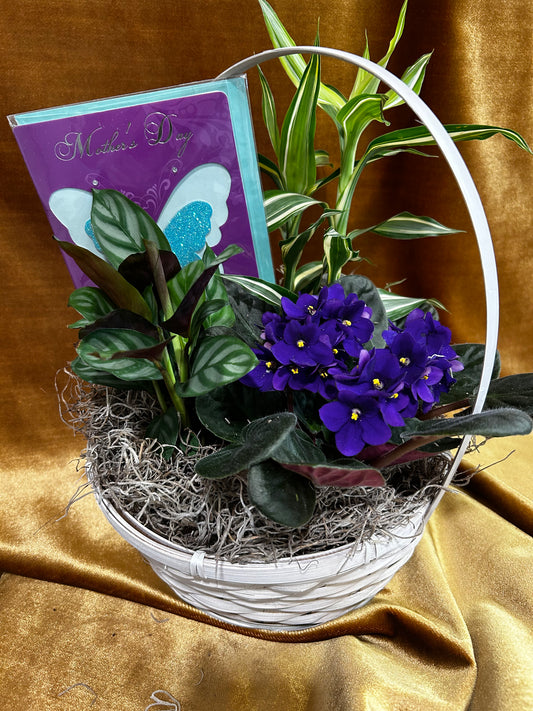 Basket of Love