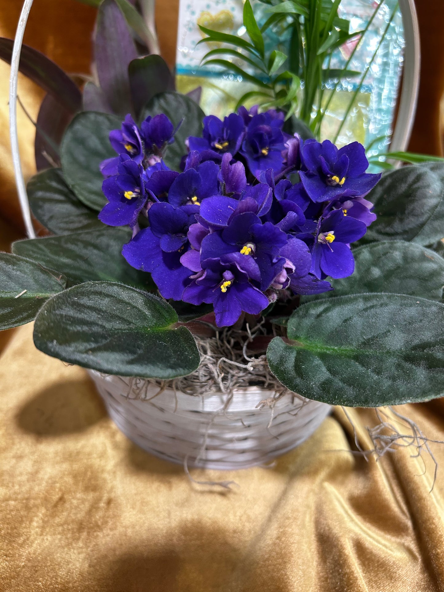 Basket for Mom