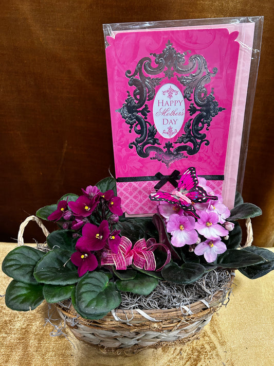 Lovely Violets