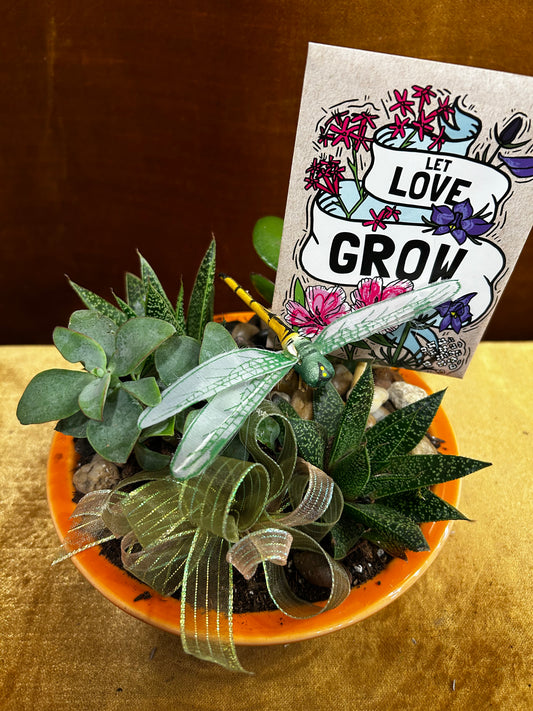 Succulents and Dragonflies