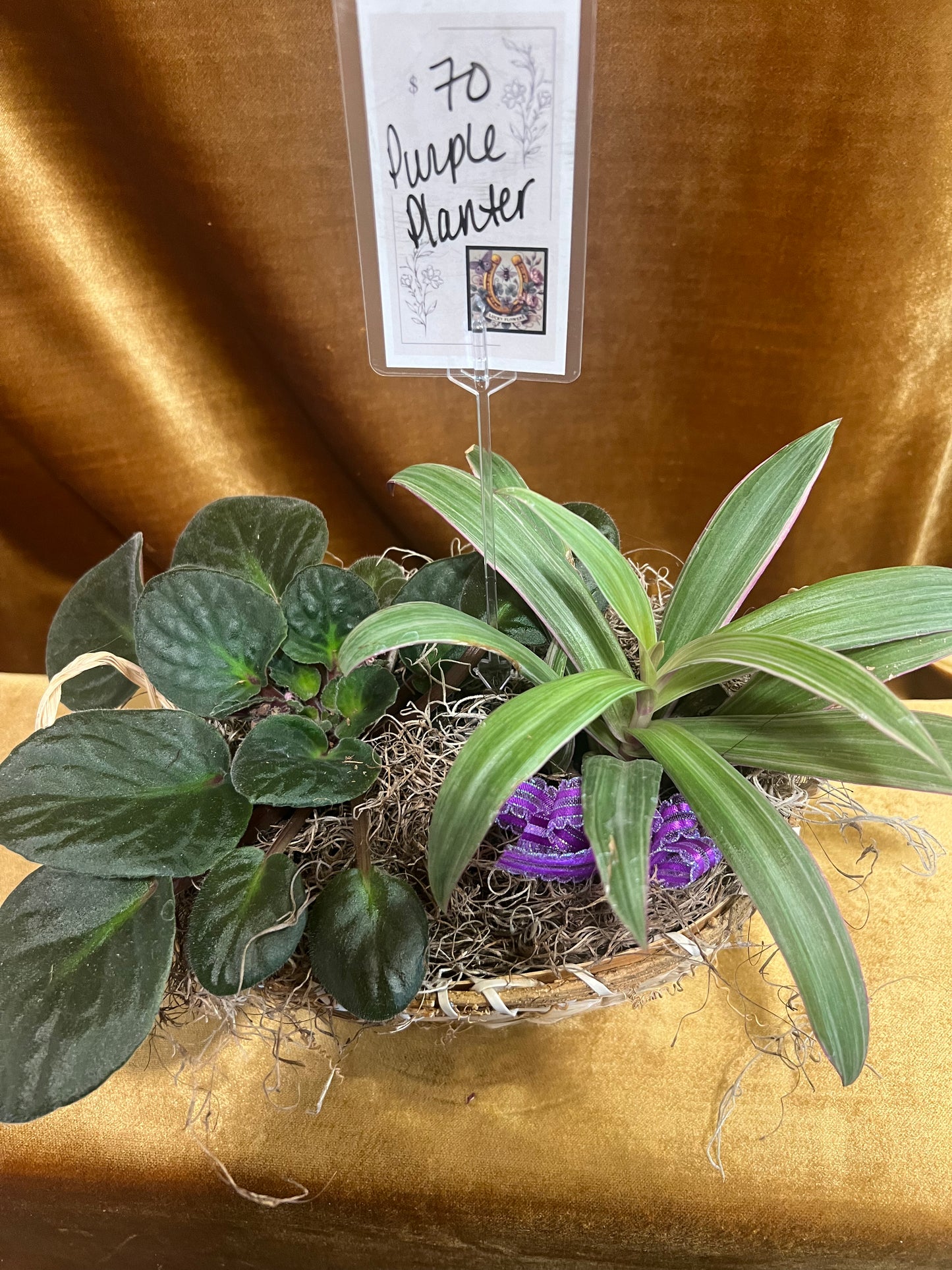 Purple Planter