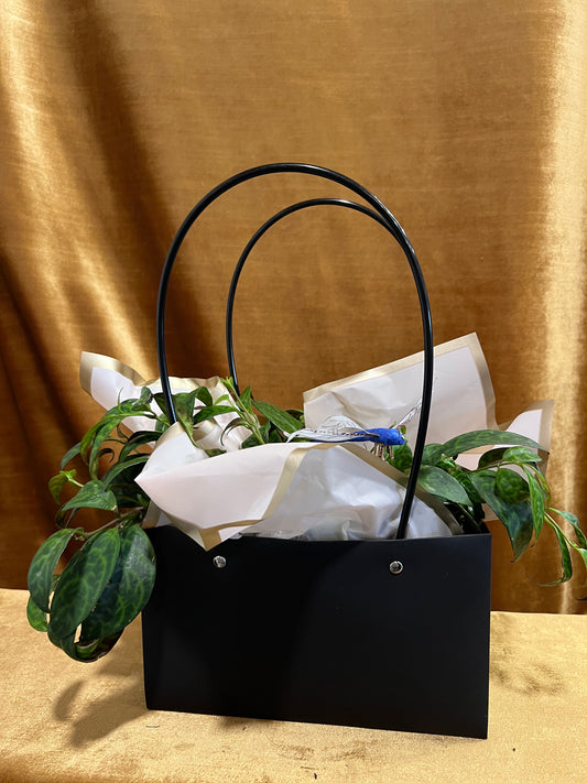 Purse Plant