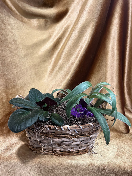 Purple Planter