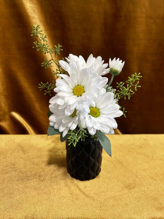 Sweet Daisy