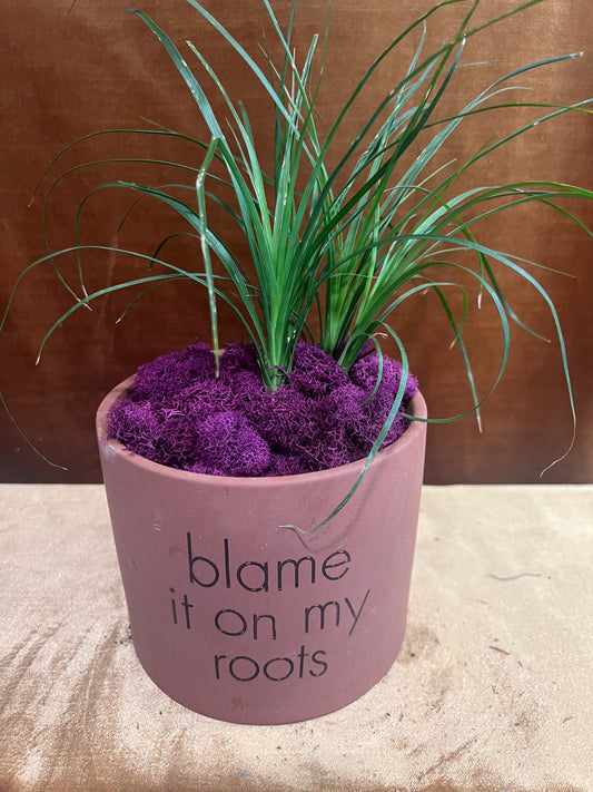 Firmly Rooted