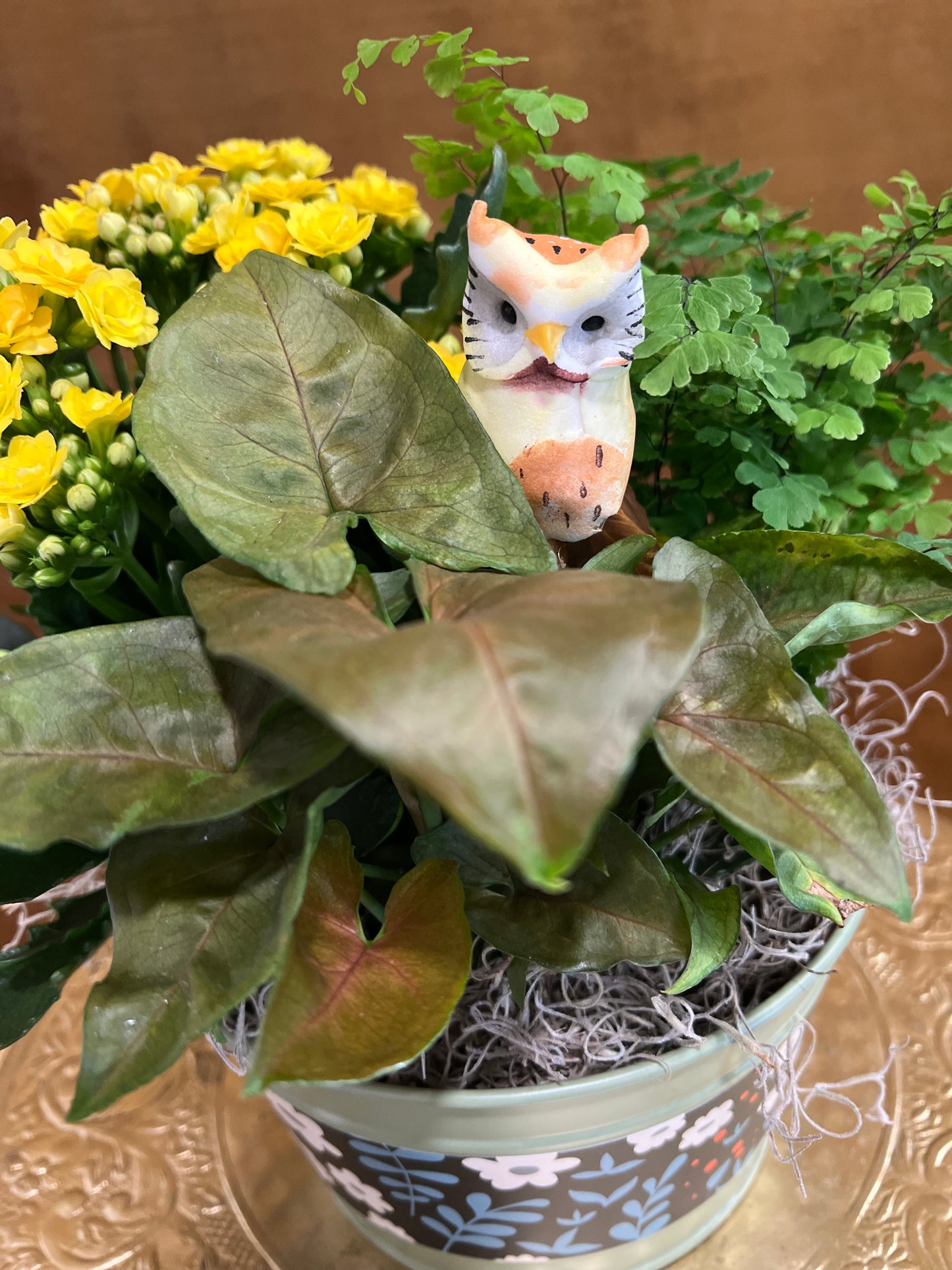 Owl Planter