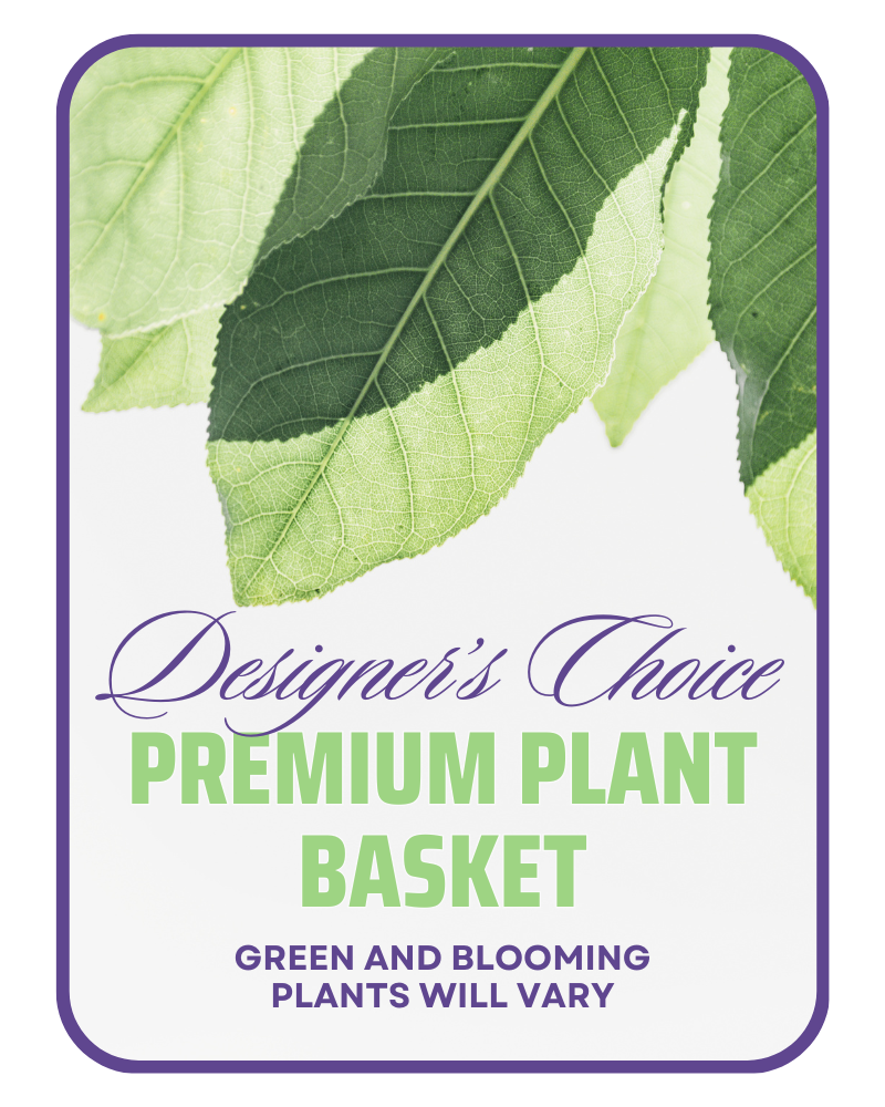 Designer's Choice Premium Planter