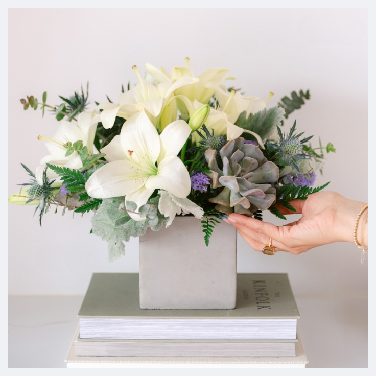 Sanctuary in Bloom