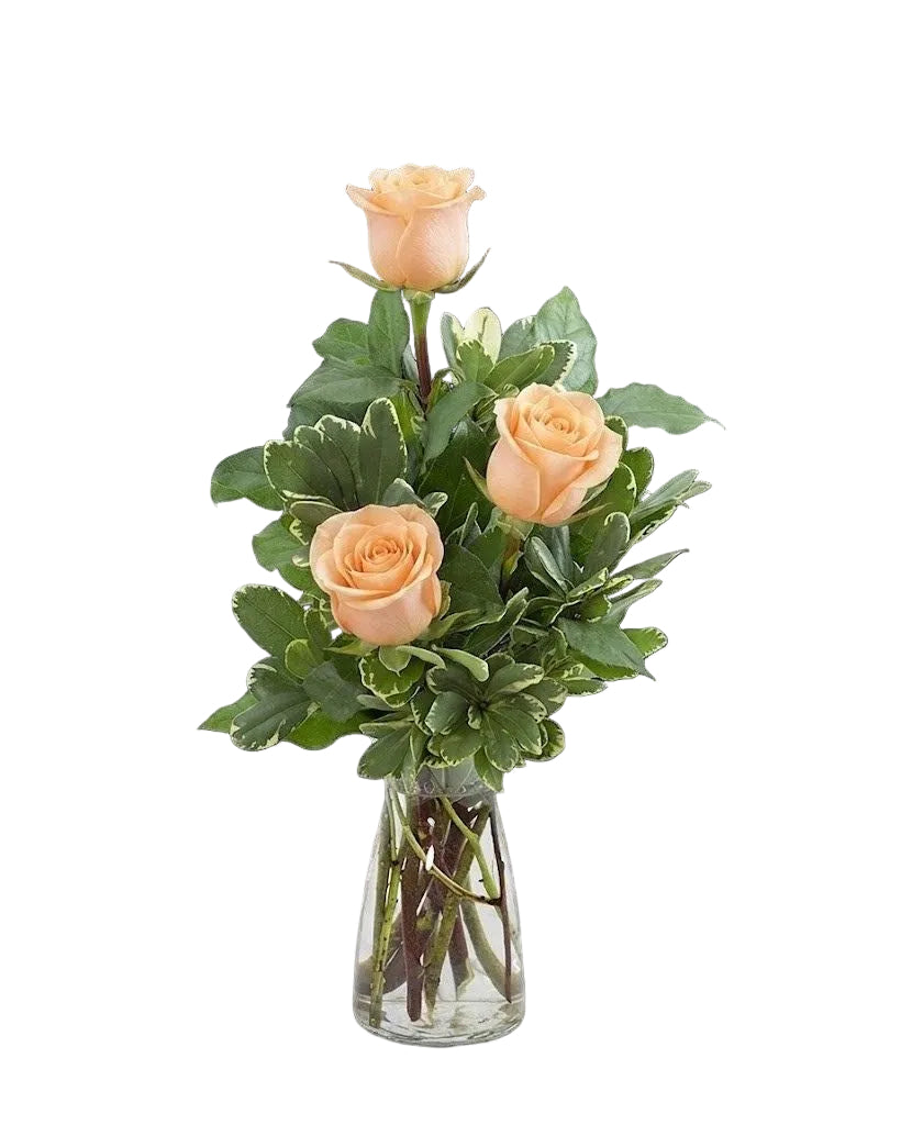 Rose Trio