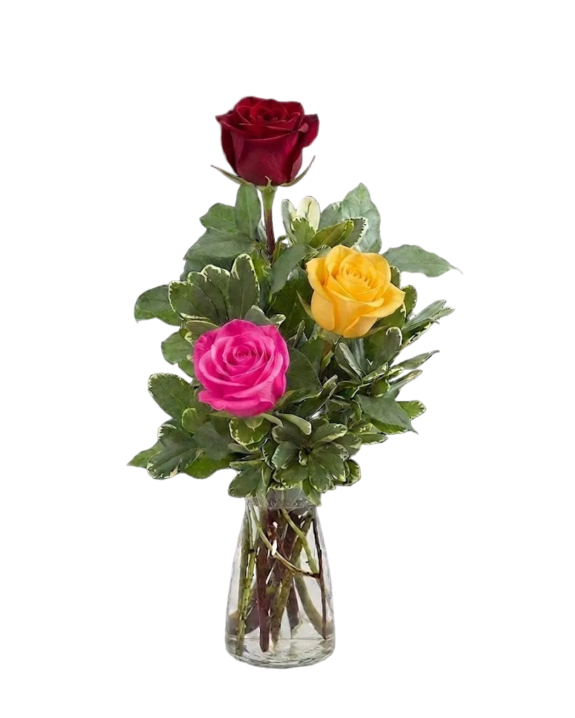 Rose Trio