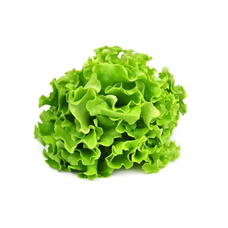 Heirloom Loaded Lettuce Garden Seed Packet