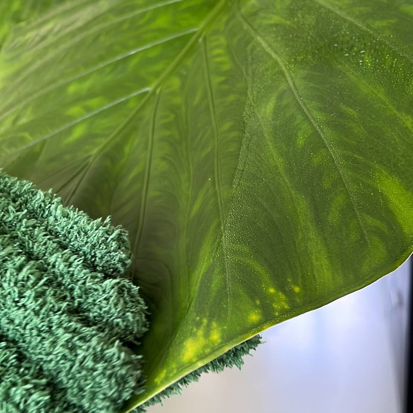 Leaf Love Gloves