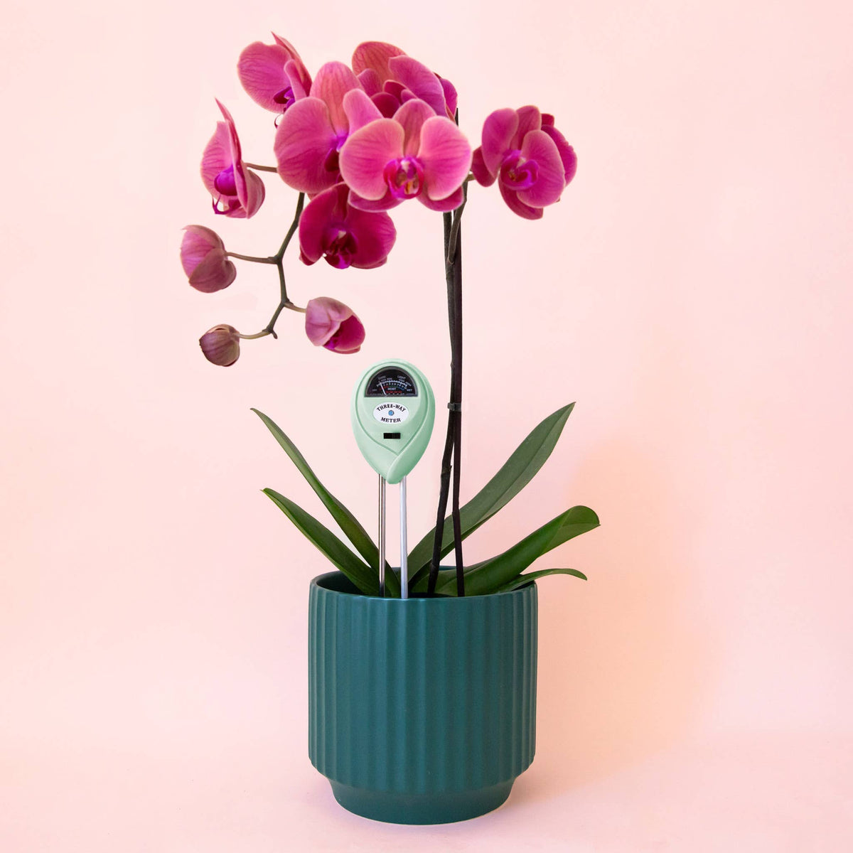 Jungle Club - 3-in-1 Moisture Meter | Lagoon | Garden Party Box