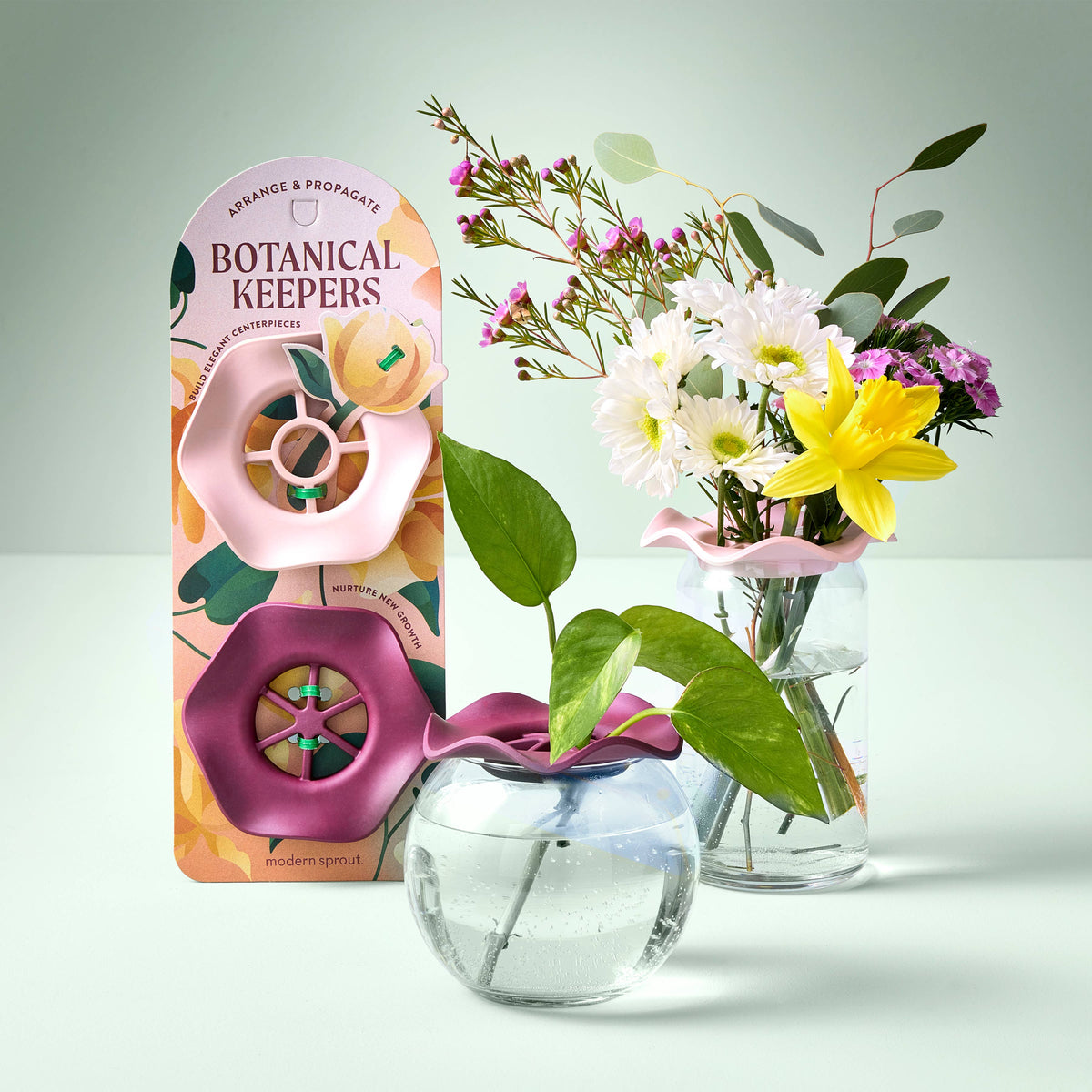 Modern Sprout - Botanical Keepers - Set of 2
