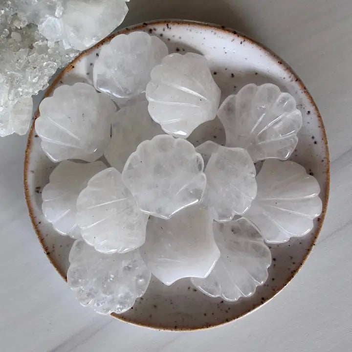 Quartz Seashell Stone