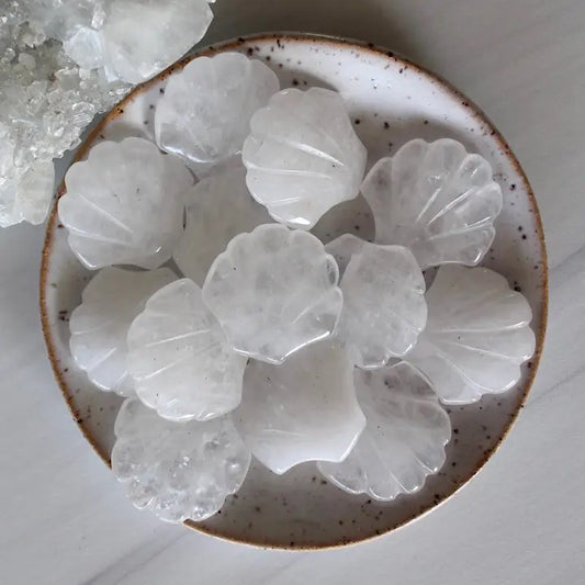 Quartz Seashell Stone