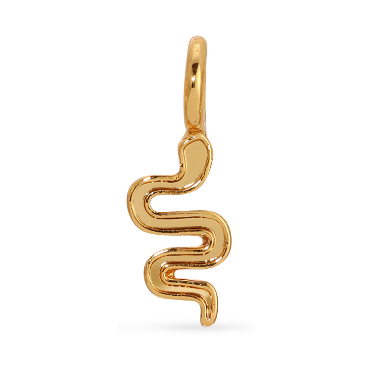 Charm Garden Snake Charm