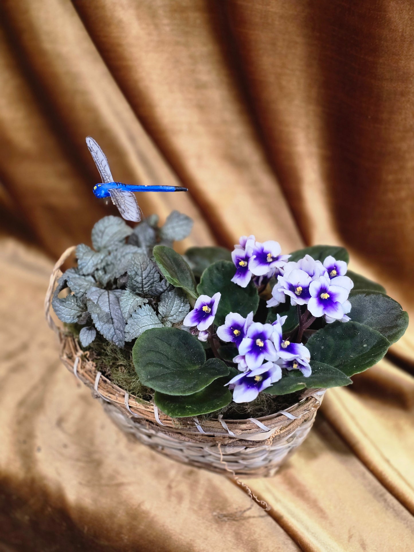 Violet Garden
