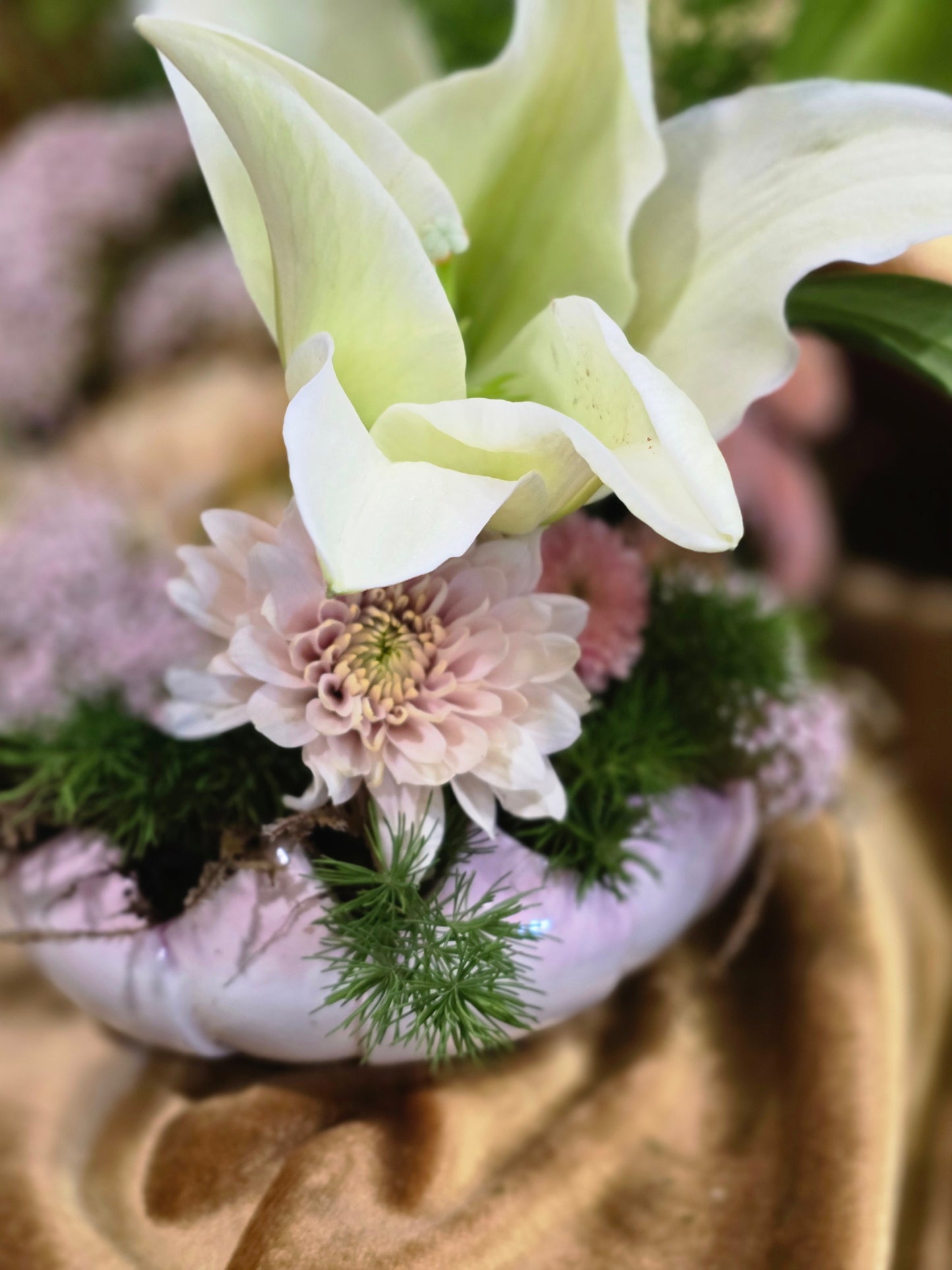 Lotus Bowl