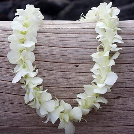 Single Orchid Lei