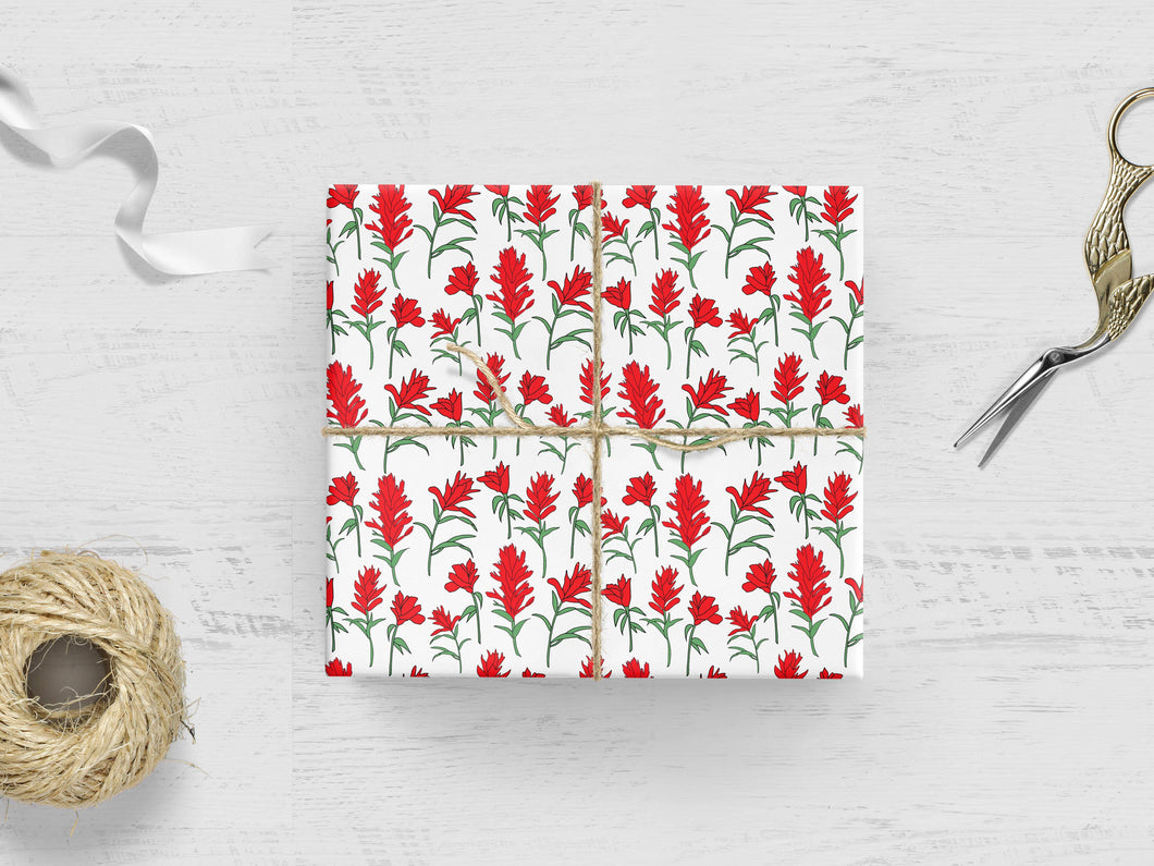 Indian Paintbrush Flower Floral Gift Wrap