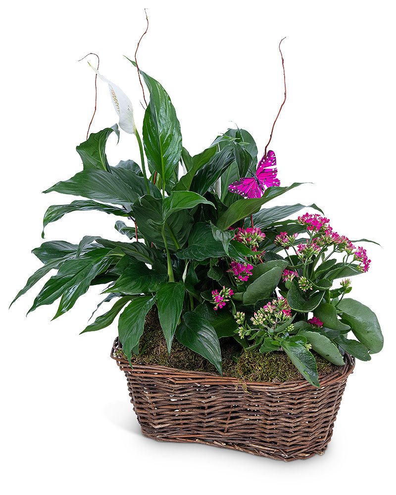 Harmony Basket with Butterflies