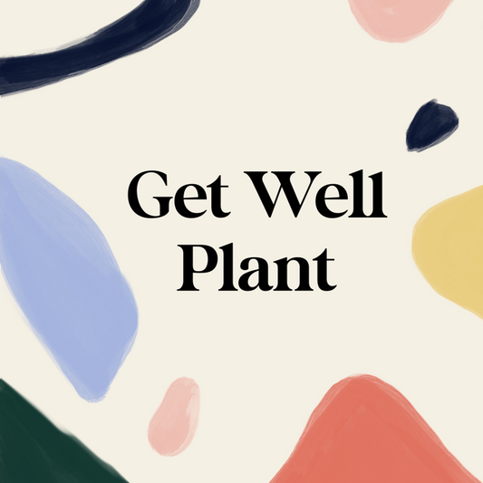 Get Well Plant