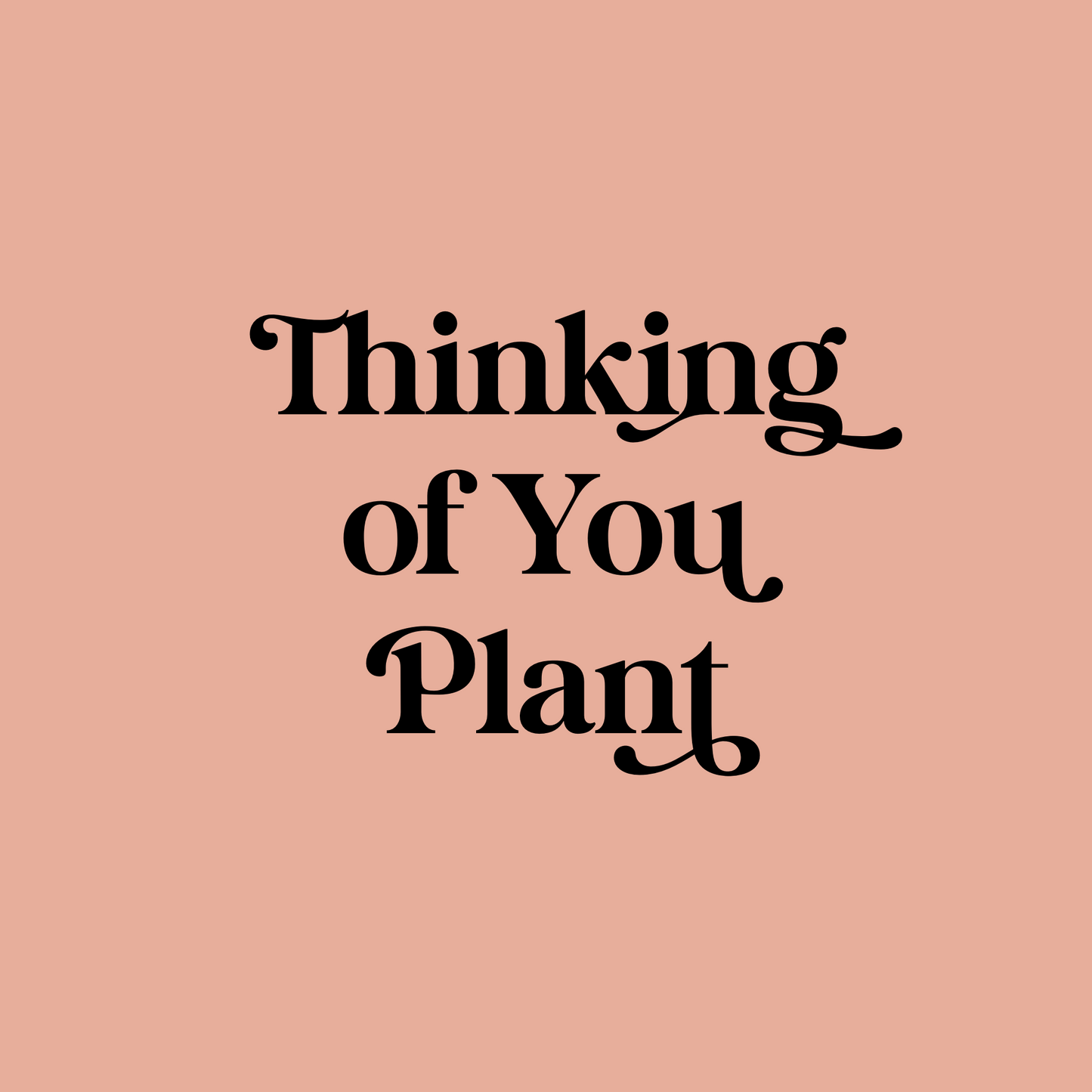 Thinking of You Plant